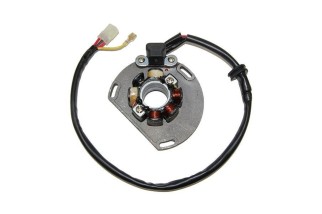 Stator avec bobine d'éclairage ELECTROSPORT - KTM