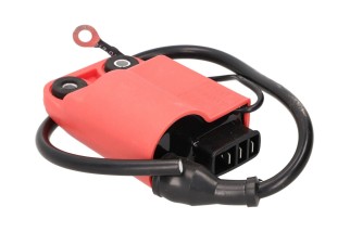 CDI UNIT W/ IGNITION COIL