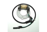 Stator ELECTROSPORT - Honda