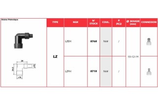 Anti-parasite NGK - LZEH