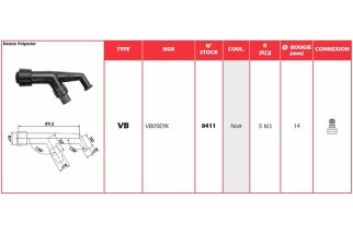 Anti-parasite NGK - VB05EYK