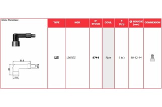Anti-parasite NGK - LB05EZ