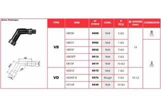 Anti-parasite NGK - VB10F
