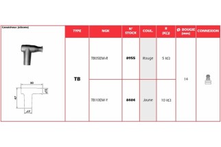 Anti-parasite NGK Jaune - TB10EMY