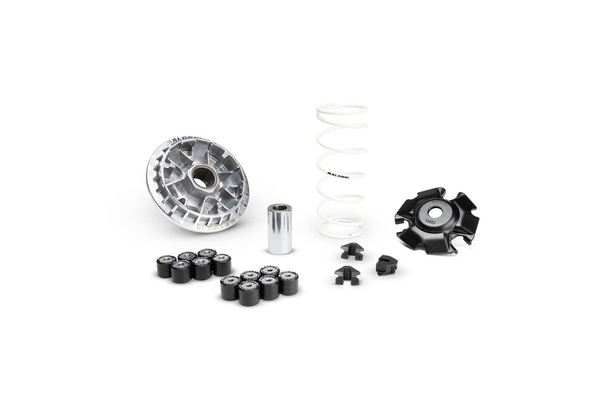 Variateur MALOSSI Multivar 2000