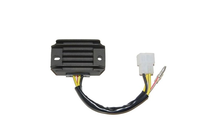 ELECTROSPORT Regulator ESR 600