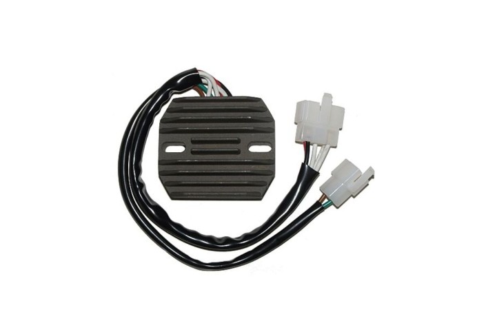 ELECTROSPORT Regulator ESR 350