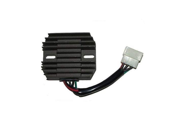 ELECTROSPORT Regulator ESR 550