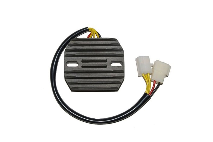 ELECTROSPORT Regulator ESR 170