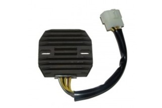 ELECTROSPORT Regulator ESR 263 ZX-6R Ninja (98-99) VN800