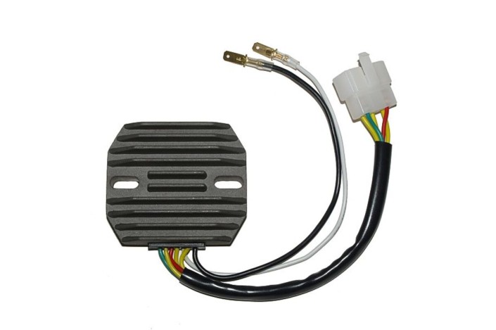 ELECTROSPORT Regulator ESR 240