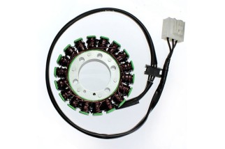 ELECTROSPORT Stator ESG 138 Kawasaki Z 1000 (10-15)