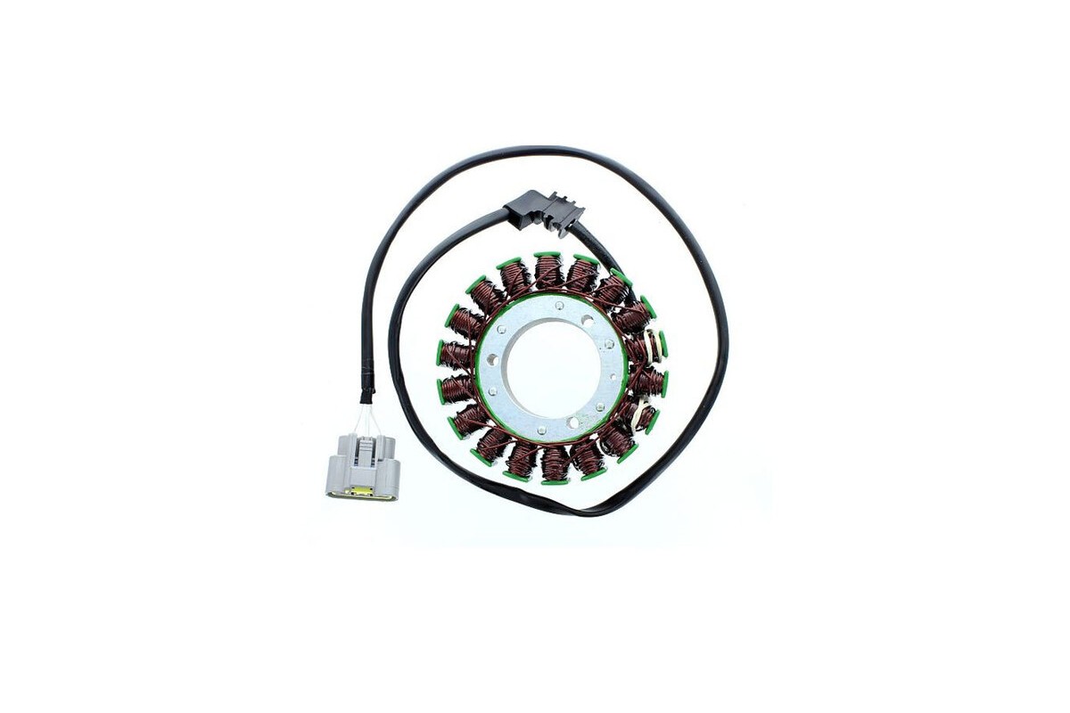 ELECTROSPORT Stator ESG 131 FJR 1300 (06-13)5