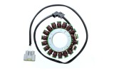 ELECTROSPORT Stator ESG 131 FJR 1300 (06-13)5