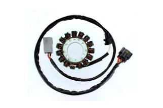 ELECTROSPORT Stator ESG549 Kawasaki VN 900, 06-15