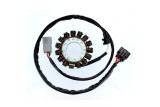 ELECTROSPORT Stator ESG549 Kawasaki VN 900, 06-15