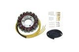 ELECTROSPORT Stator S03