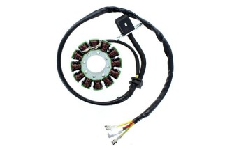 ELECTROSPORT Stator ESG 169 KTM 350 SXF/KTM 350 XC-F, 11-14