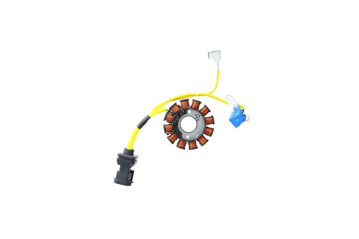 ELECTROSPORT Stator ESG 194 Aprilia-Vespa-Piaggio