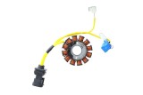 ELECTROSPORT Stator ESG 194 Aprilia-Vespa-Piaggio
