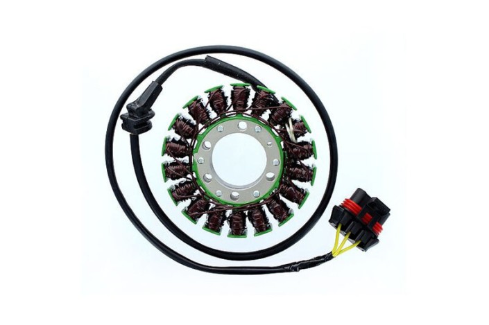 ELECTROSPORT Stator ESG 306 CAN AM