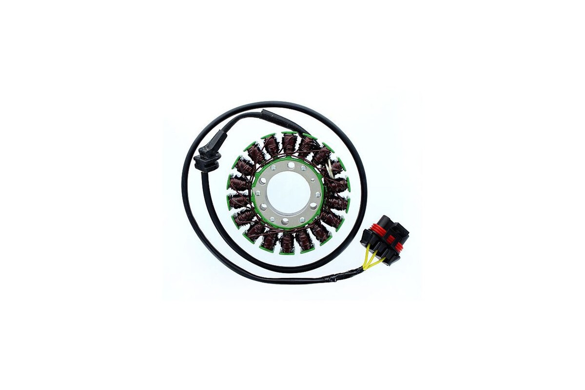 ELECTROSPORT Stator ESG 306 CAN AM