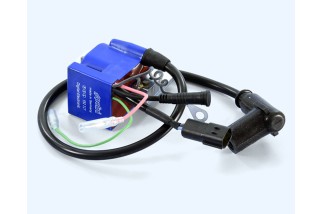 Bobine d'allumage programmable POLINI PVL Stator