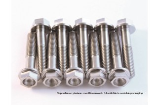 Kit vis titane SCAR M6x25 par 2