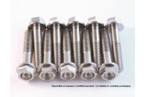 Kit vis titane SCAR M6x80 par 2