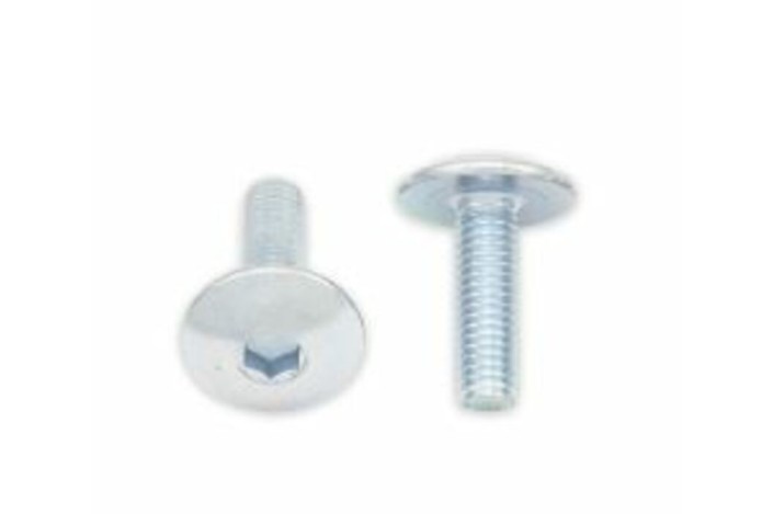 Vis tête bombée plate BOLT M5x0,80x16mm 10 pièces