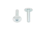 Vis tête bombée plate BOLT M5x0,80x12mm 10 pièces