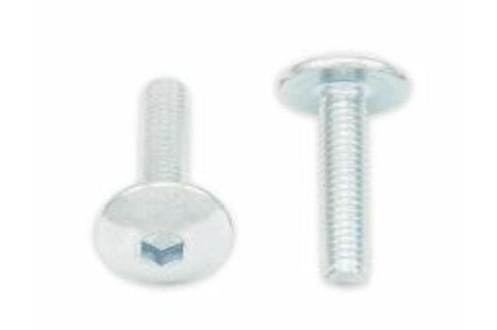 Vis tête bombée plate BOLT M5x0,80x20mm 10 pièces