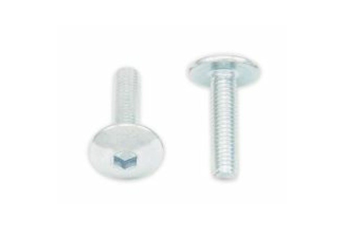 Vis tête bombée plate BOLT M5x0,80x20mm 10 pièces