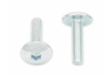 Vis tête bombée plate BOLT M5x0,80x20mm 10 pièces