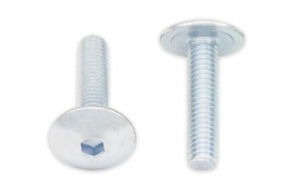 Vis tête bombée plate BOLT M6x1x25mm 10 pièces