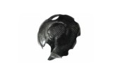 Couvre carter embrayage LIGHTECH carbone brillant