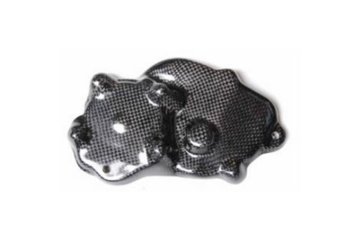 Couvre carter allumage LIGHTECH carbone brillant