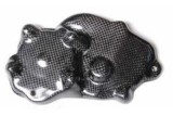 Couvre carter allumage LIGHTECH carbone brillant