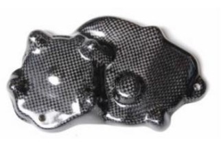 Couvre carter allumage LIGHTECH carbone brillant