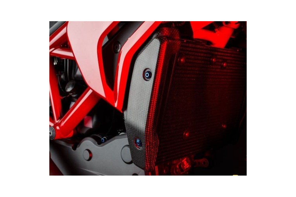 Protection de radiateur LIGHTECH carbone