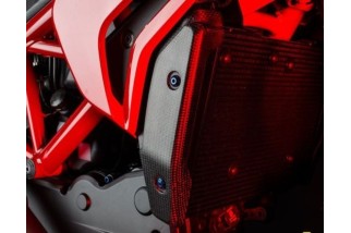 Protection de radiateur LIGHTECH carbone