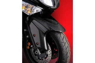 Garde-boue avant LIGHTECH carbone brillant