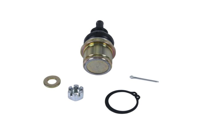 Kit reconditionnement rotule de triangle inférieur ALL BALLS