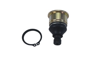 Kit reconditionnement rotule de triangle inférieur ALL BALLS