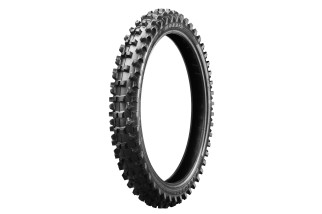 M7332F 60/100-14 30M TT