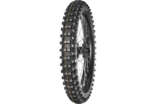 TEFOEXMH Y 70/100-19 42M TT