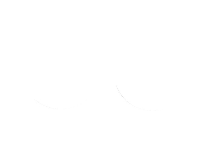 FORK SEAL RSD2 30X40X8/9