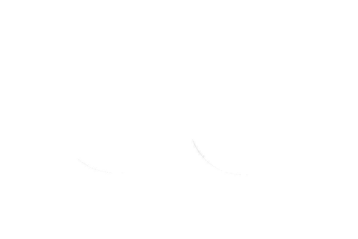 FORK SEAL RSD2 30X40X8/9