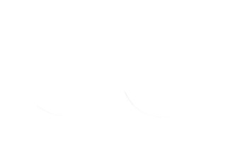 FORK SEAL RSD2 30X40X8/9