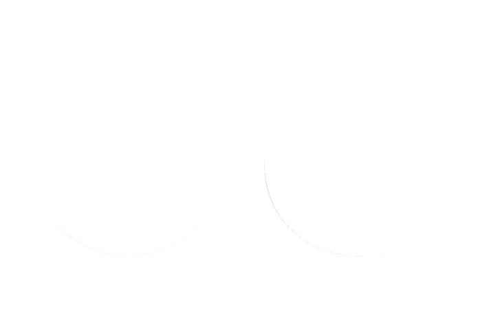 FORK SEAL SW 38X48X10